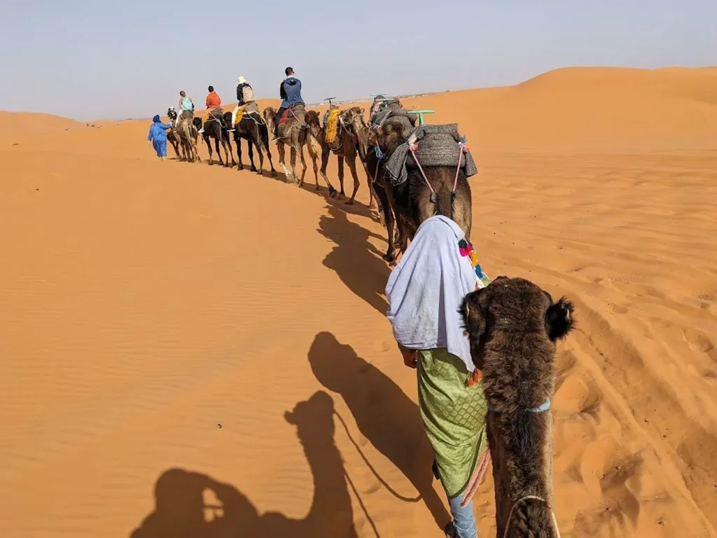 Camel trekking in the Sahara Desert